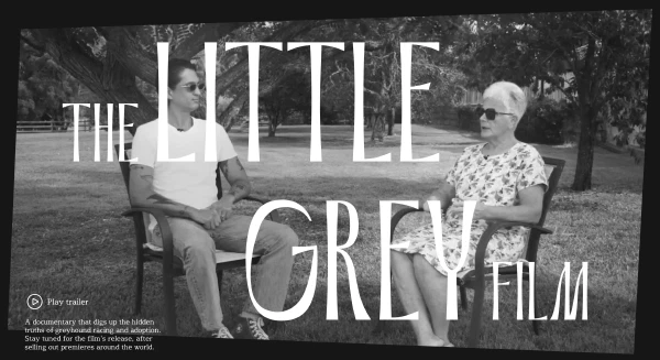 The Little Grey Film